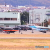 アグレッサー40th 記念塗装