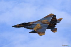 アグレッサー新色 茶×山吹