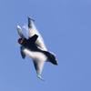 F-2B ベイパー②