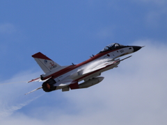F-2 紅白がベイパー発生