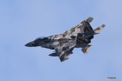 アグレッサー 新色 少し前発表