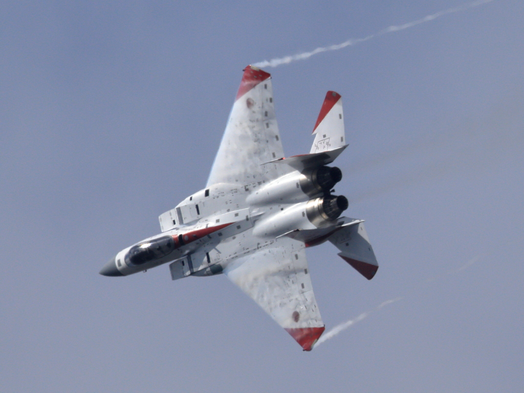 F-15 スペマ 背面