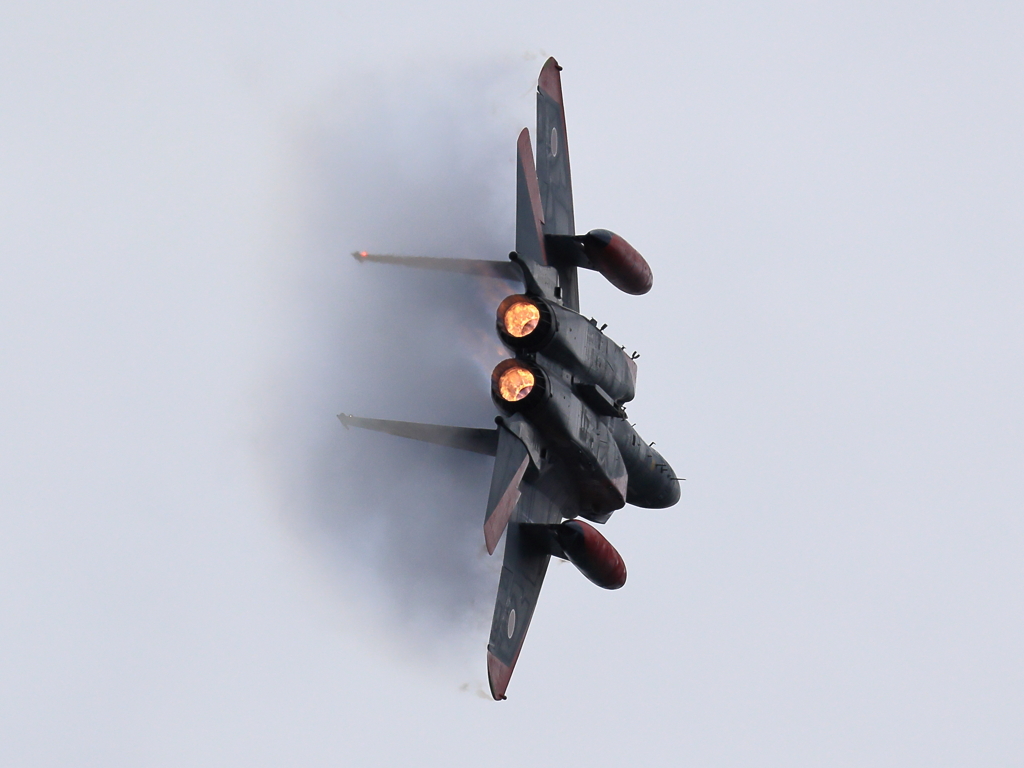 岐阜2025 スペマ F-15 機動飛行