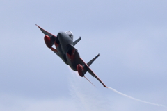 岐阜2025 スペマ F-15 機動飛行