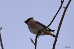 今年も逢えたね^^