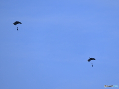 秋空に羽ばたけ！