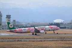 ハロー キティ機