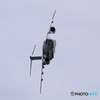 岐阜2025 C-2の機動飛行