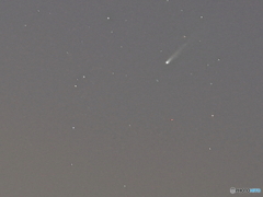 夜散策 レモン彗星の尾 夜散策 レモン彗星の尾