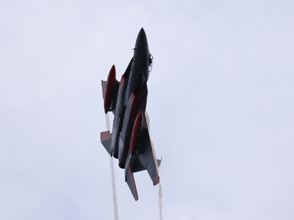 岐阜2025 スペマ F-15 機動飛行