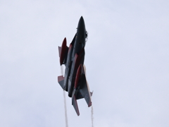岐阜2025 スペマ F-15 機動飛行