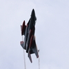 岐阜2025 スペマ F-15 機動飛行