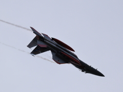 岐阜2025 スペマ F-15 機動飛行
