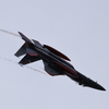 岐阜2025 スペマ F-15 機動飛行