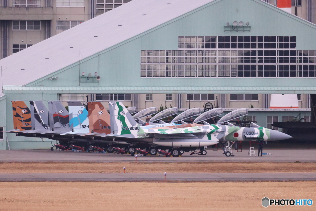 アグレッサー コブラ部隊 