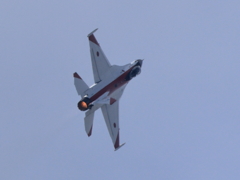 F-2紅白の背面