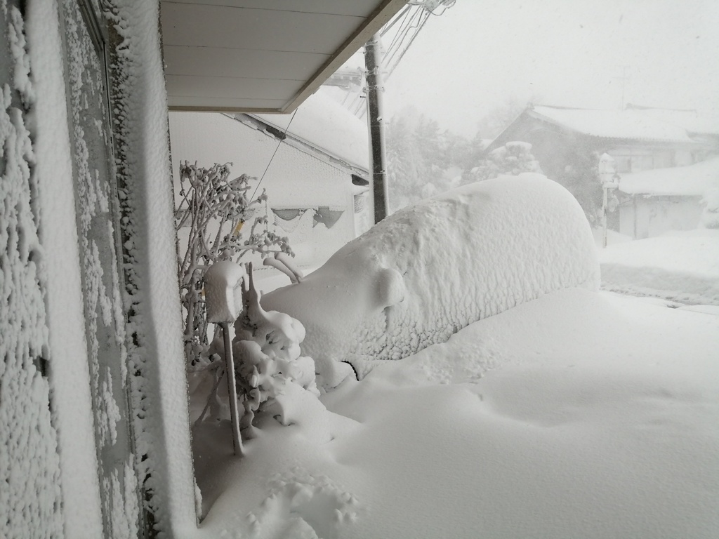 35年ぶりの大雪、一晩で･･