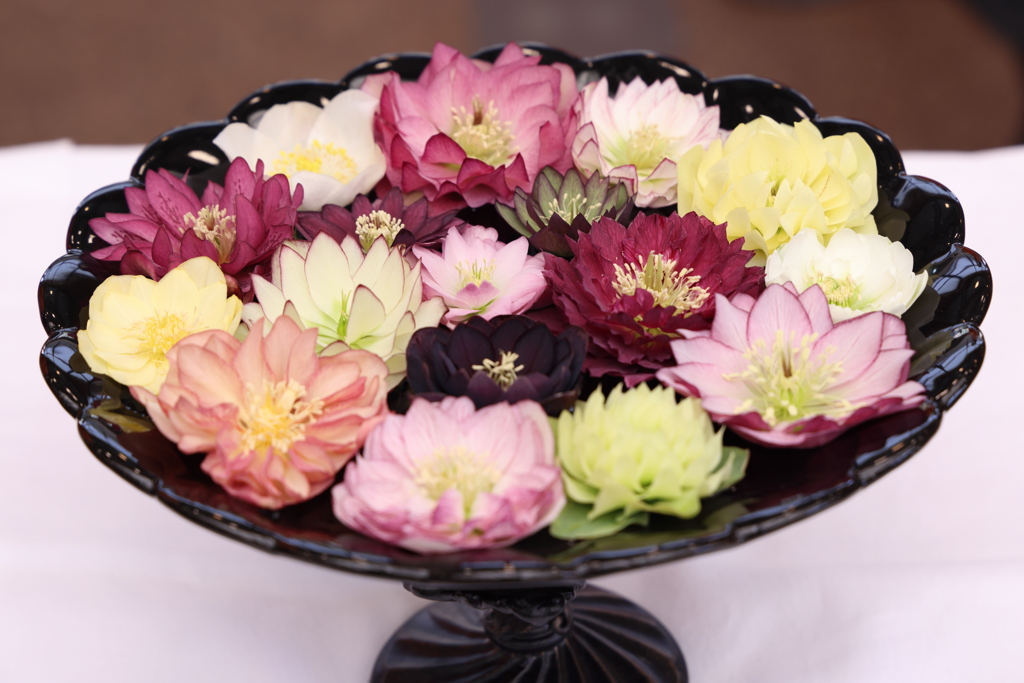 花満開器