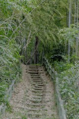 滝の城址公園にて