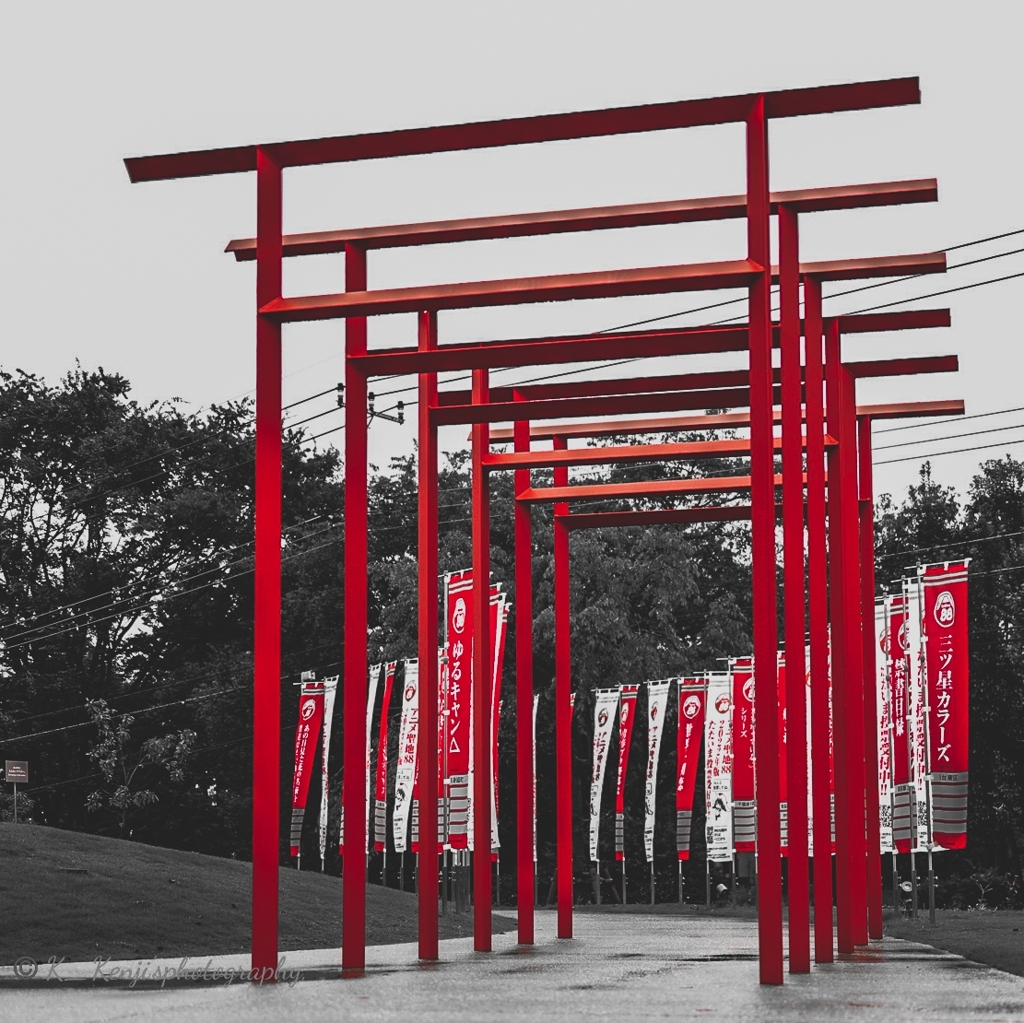 令和神社の鳥居