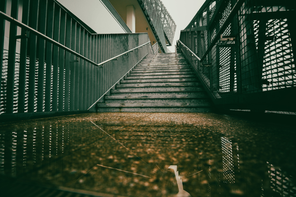 雨上がりのサクラタウン