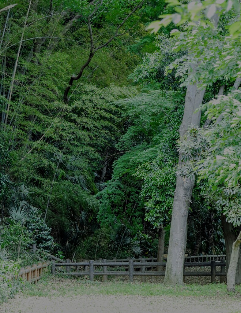 滝の城址公園