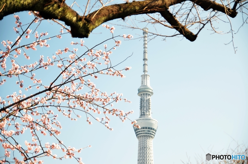 気持ち良い