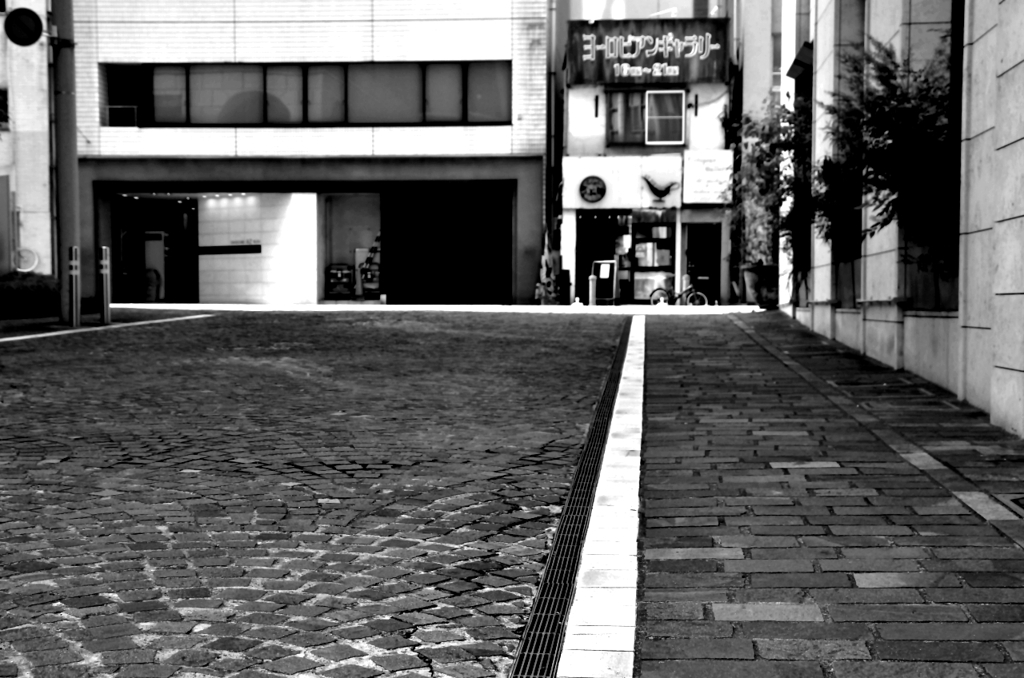 白線の先