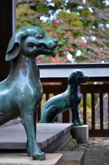 お犬様