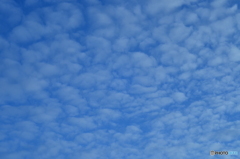休日の雲
