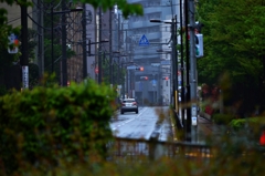 雨の道