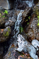 水飲み