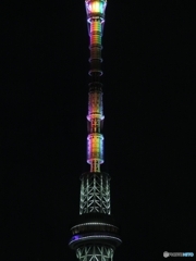 虹のツリー