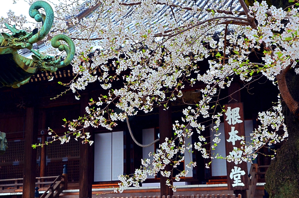 寛永寺