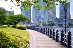 散歩道