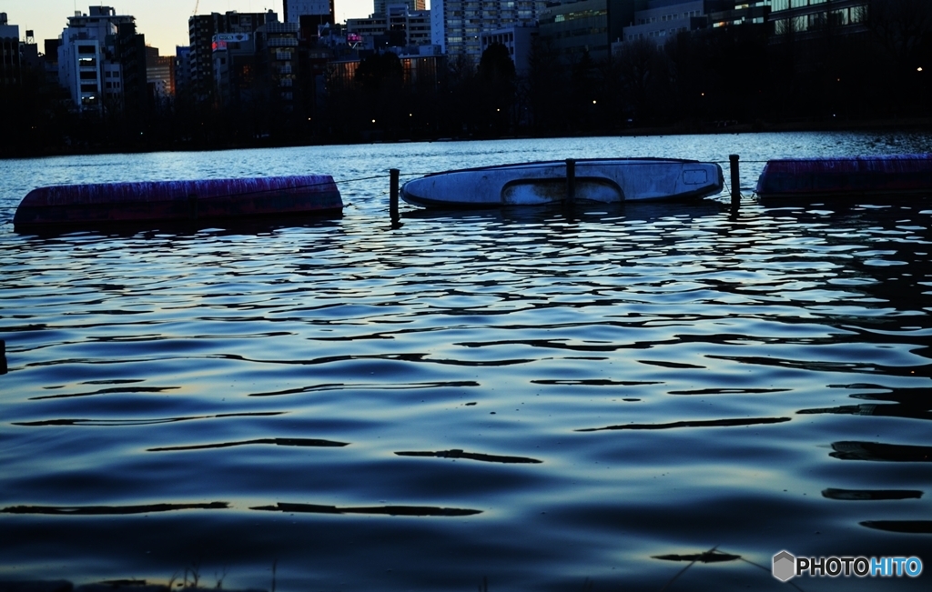 上野の水辺