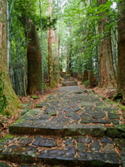 熊野古道大門坂