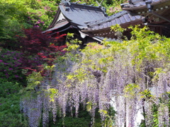 藤山神社～２