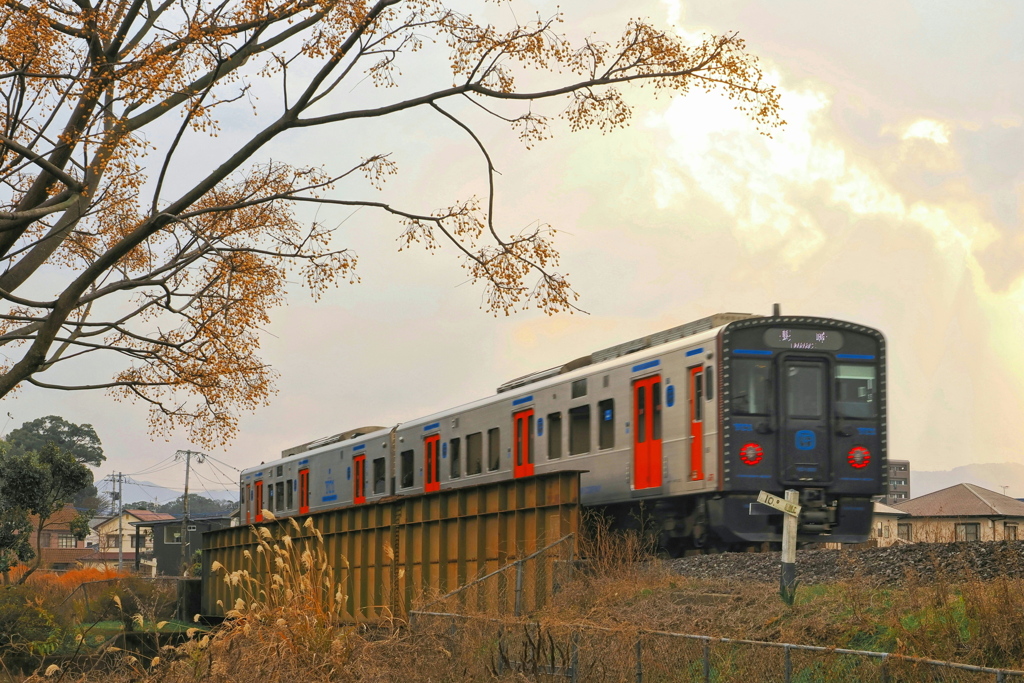 ガーター橋とYC1系