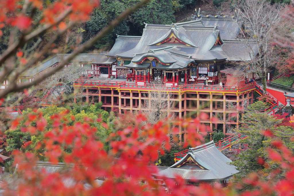 紅葉の中から覗く神社