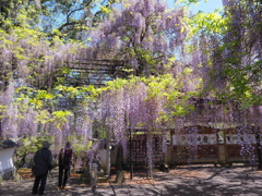 藤山神社～１