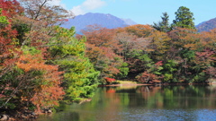 秋の池畔