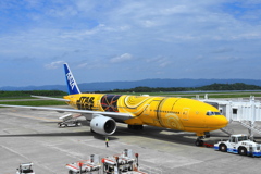 My Favorite Plane