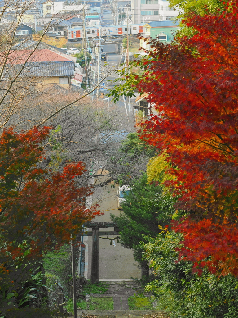 小さな参道とローカル線