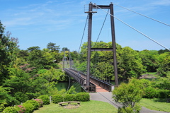 新緑の吊り橋