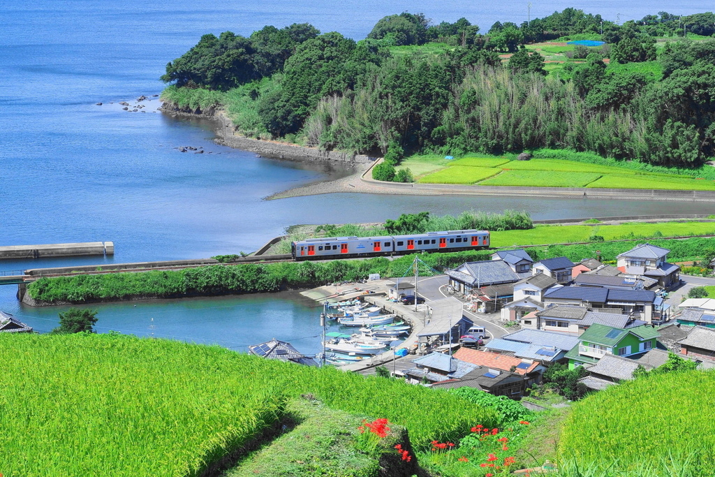 湾岸電車と小さな漁港