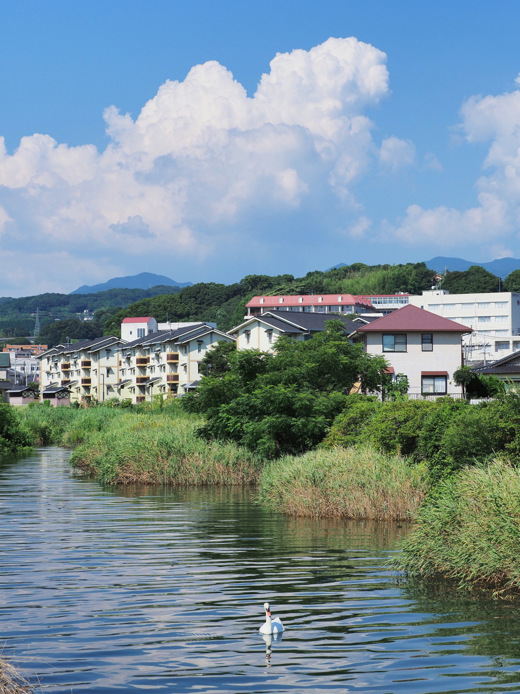 夏空