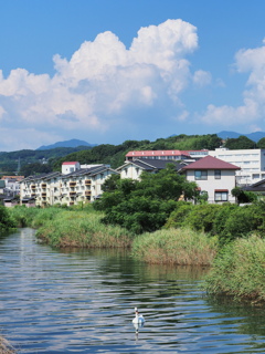 夏空