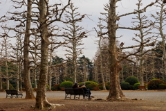 冬の散歩道