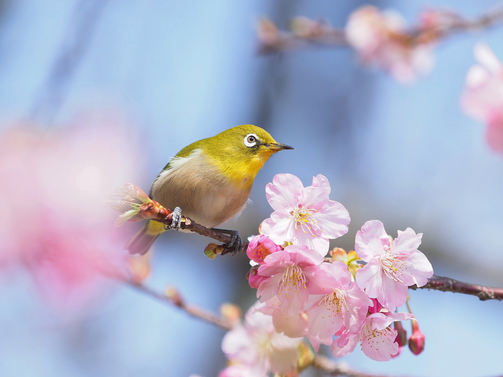 春の陽光の中で～４